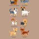 Illustration for article titled Adorable Drawings of Dog Breeds, Grouped By Their Place of Origin